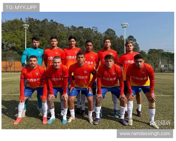 港媒曝中甲队求购大埔巴西后卫